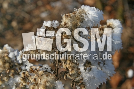 Winterimpressionen 001.jpg